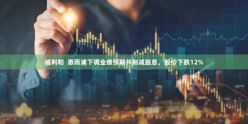 诚利和  惠而浦下调业绩预期并削减股息，股价下跌12%
