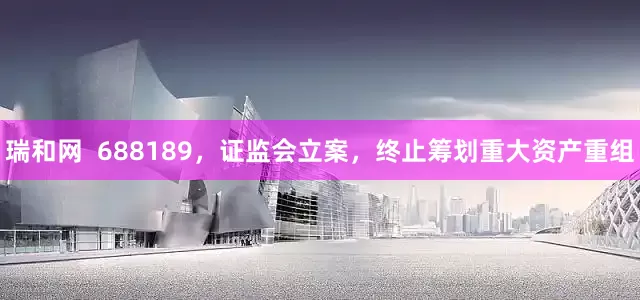 瑞和网  688189，证监会立案，终止筹划重大资产重组